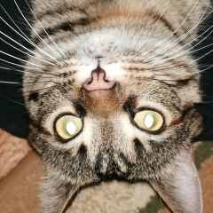 Александр Шакиров, 08.01, Алматы