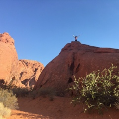 Цырема Маншеева, 14.04, New York City