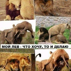 Gulnnara Mendybayeva, 15.04.1986, Кызылорда