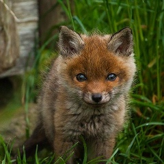 Сергей Казначеев, 15.09.1985, Одесса