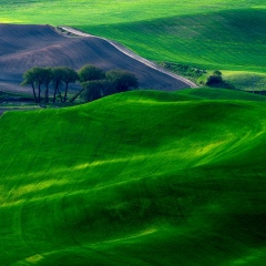 Василий Юрьевич