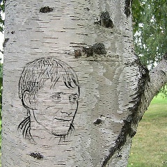 Павел Дороженко, Черепаново