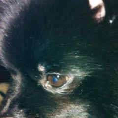 Андрей Крымский, 06.04.1985