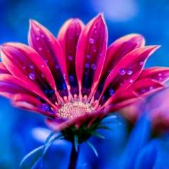 Алена Матяш, 22.05