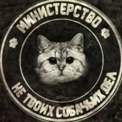 Владимир Васянов, 28.01.1989, Санкт-Петербург
