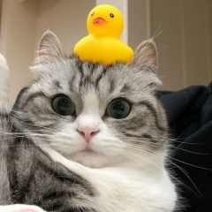 Амнат Насуева, 29.05.2005, Грозный