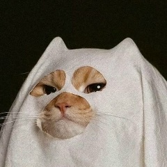 Виктор Слёзкин