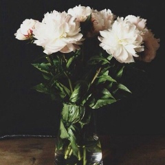 Катя Берест, 17.04, Кропивницкий / Кировоград