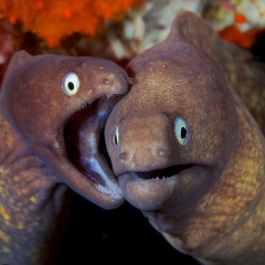 Екатерина Казанкова, 20.07.1985, Тольятти