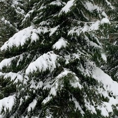 Владимир Агапонв, 03.11.1985, Санкт-Петербург