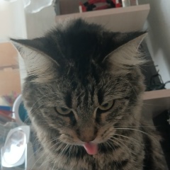 Юлия Батарейкина, 15.11, Минск