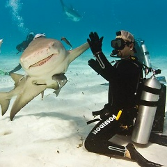 Deny Марковский, 29.10, Сумы