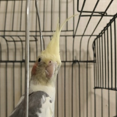 Маришка Алексеева, 17.03, Москва