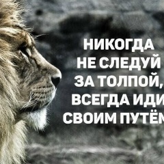 Евгений Петров, Нижний Новгород