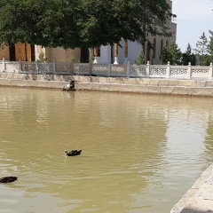 Mexroj Latipov, 28.10.1990, Оренбург