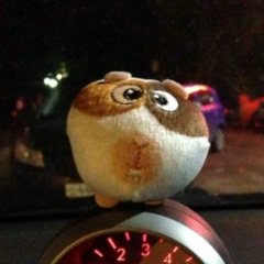 Вася Бакулев, 18.01, Ижевск