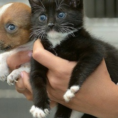 Наталья Човгун, 07.04, Новосибирск