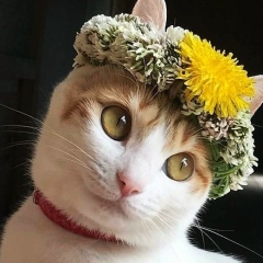 Денис Ковалев, 15.04.1990, Новосибирск