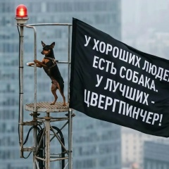 Лариса Котова, 10.05, Санкт-Петербург