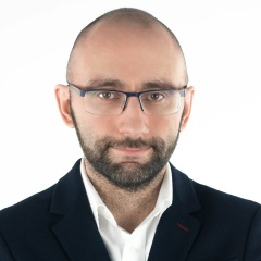 Давид Шанава, Санкт-Петербург