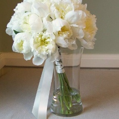 Veter Home, Москва