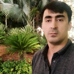 Идрис Хамидов, Dubai