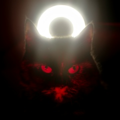 Диана Мазурова