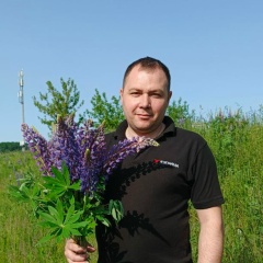Николай Тишкевич, Минск