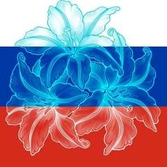 Денис Старичков, 09.07.1984, Мурманск
