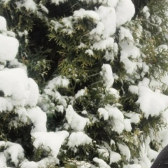 Сергей Салтанов, 10.02.1992, Самара