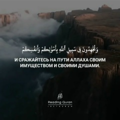 Султан Насибов, 31.01.1992, Шымкент