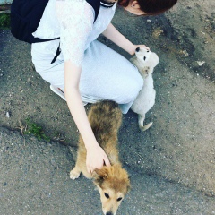 Ailin Fay, 08.03, Москва