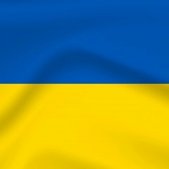 Эльви Роомец