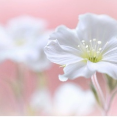 Ирина Левицкая, 13.09.1982, Житомир