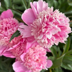 Виктория Левина, 07.04, Москва