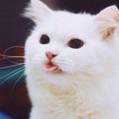 Асет Ирбулатов, 04.02.1992, Актобе