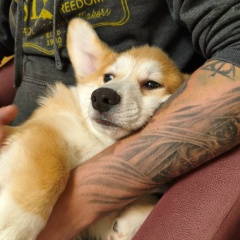 Aleksandr Danilin, 28.12.1990, Санкт-Петербург