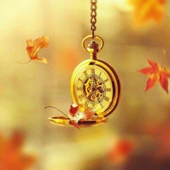 Saltanat Raeva, Los Angeles