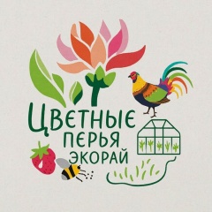 Экорай Волковы, Сызрань