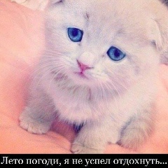 Алексей Сачов, 06.04.1985, Житомир