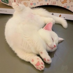 Шарафаддин Маншарипов, 27.06, Кызылорда