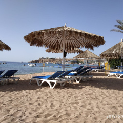 Ника Исенова, 24.03, Алматы