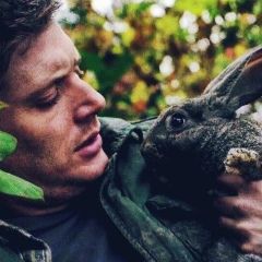 Ева Импалова, 25.05.1994