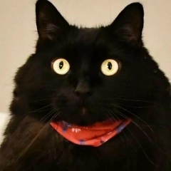 Алишер Абисов, 01.12.1990, Семей