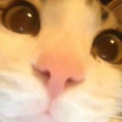 Viktoria Sideropolou, Ереван