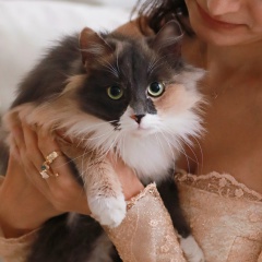 Раксана Алиева, 24.09