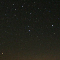 Максим Погожев