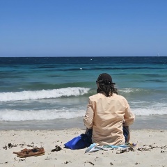 Дмитрий Федоров, Perth