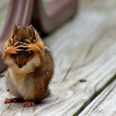 Анастасия Ковалёва, 26.10.1983, New York City