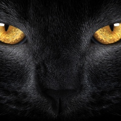 Елена Крапивкина, 27.01, Кинель